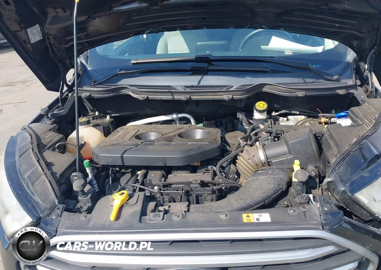 2018 Ford Ecosport Se VIN:MAJ6P1UL2JC222108 - 10
