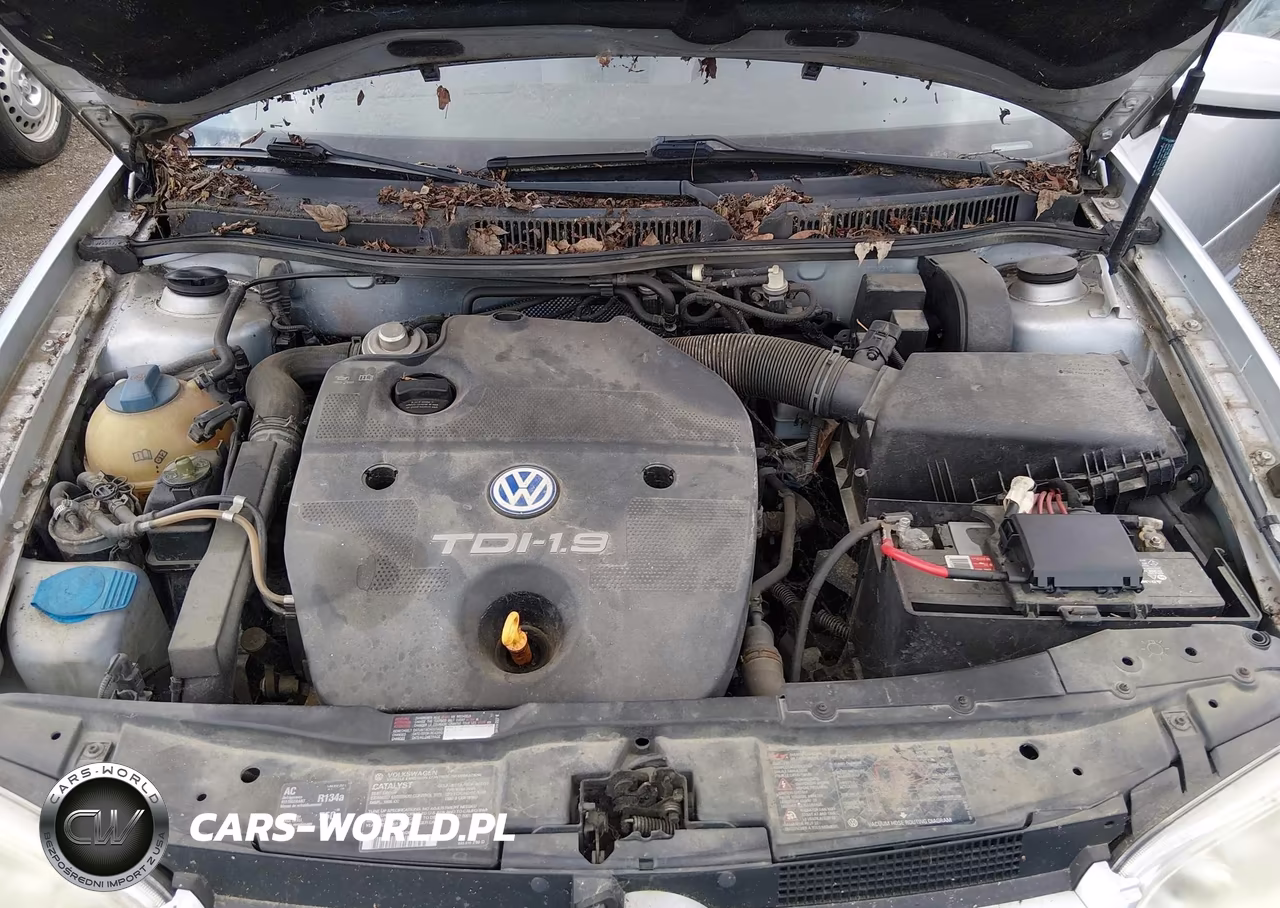 2001 Volkswagen Golf Gls Tdi VIN:9BWGP21J314008106 - 10