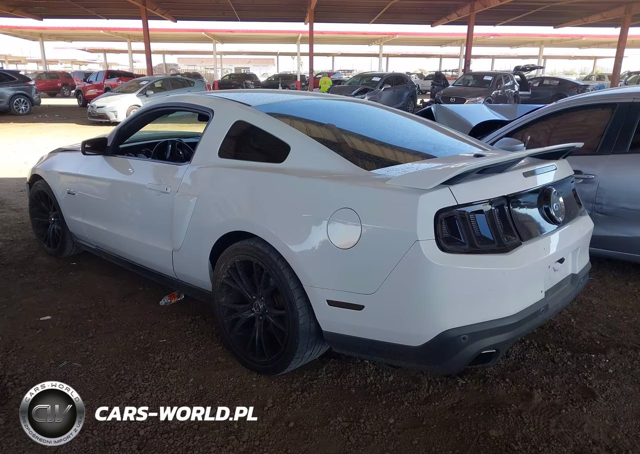 FORD MUSTANG VIN:1ZVFT80NX65150735 - 3