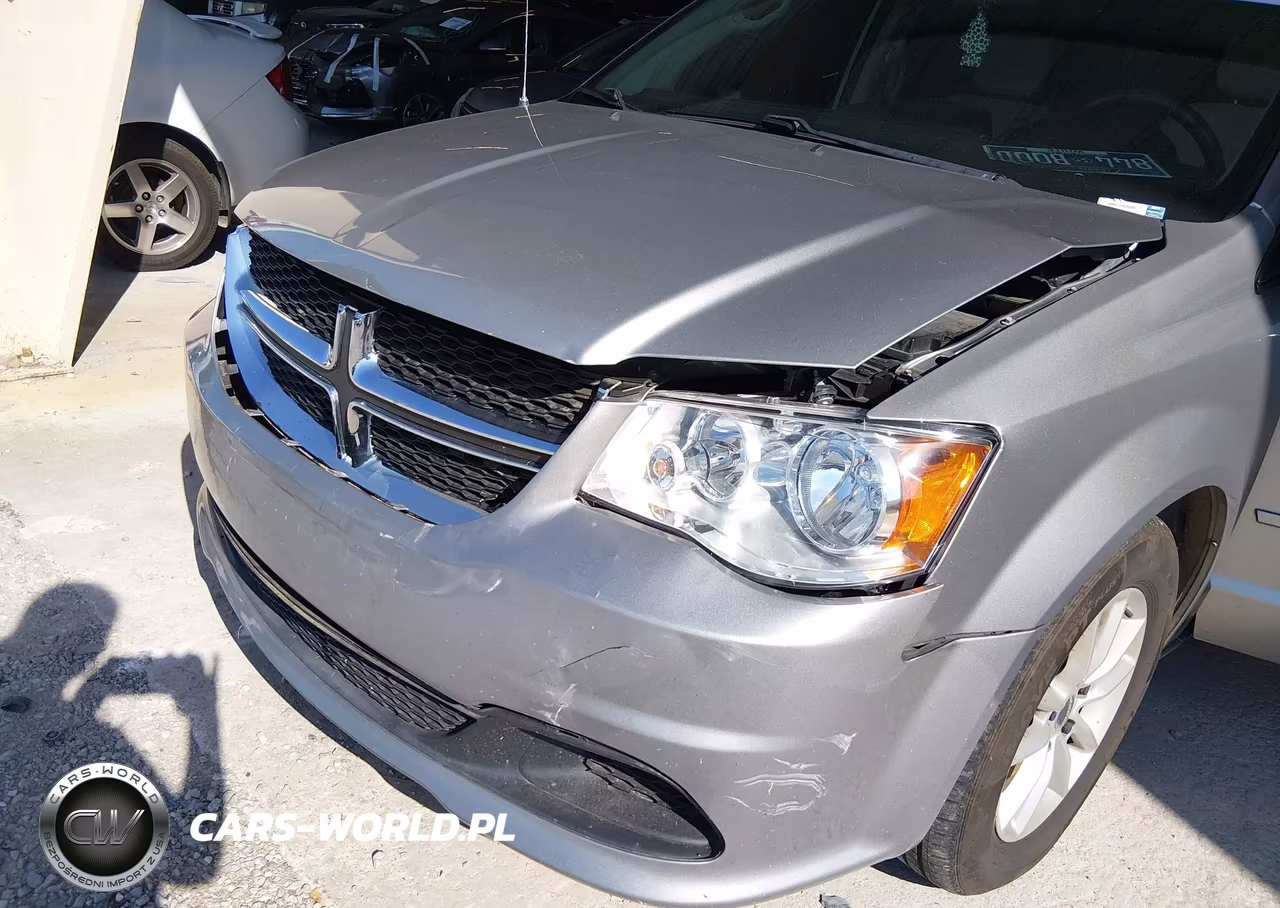 2014 Dodge Grand Caravan Sxt VIN:2C4RDGCG5ER230448 - 12