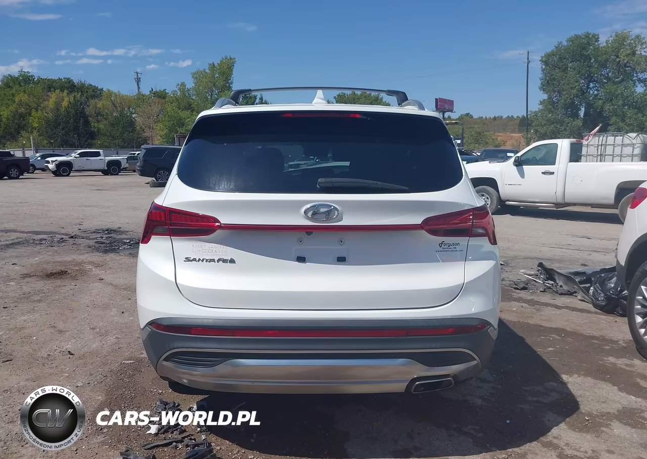 2022 Hyundai Santa Fe Sel VIN:5NMS24AJ2NH396490 - 16