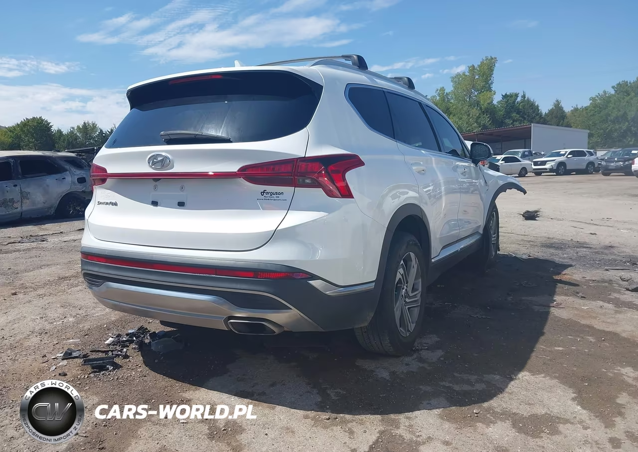 2022 Hyundai Santa Fe Sel VIN:5NMS24AJ2NH396490 - 4