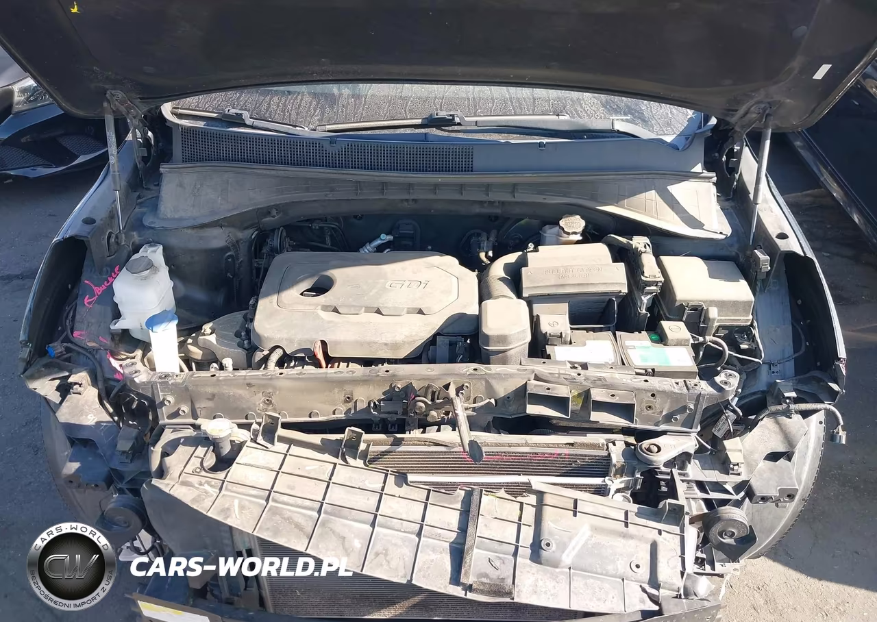 2017 Kia Sorento 2.4L Lx VIN:5XYPG4A35HG287898 - 10