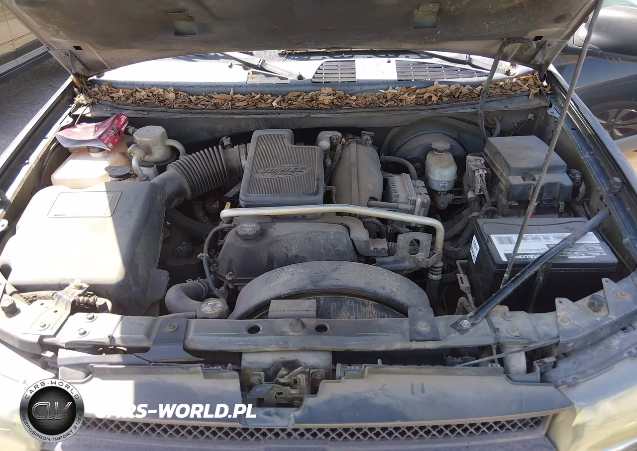 2003 Chevrolet Trailblazer Ls VIN:1GNDS13S532271554 - 10