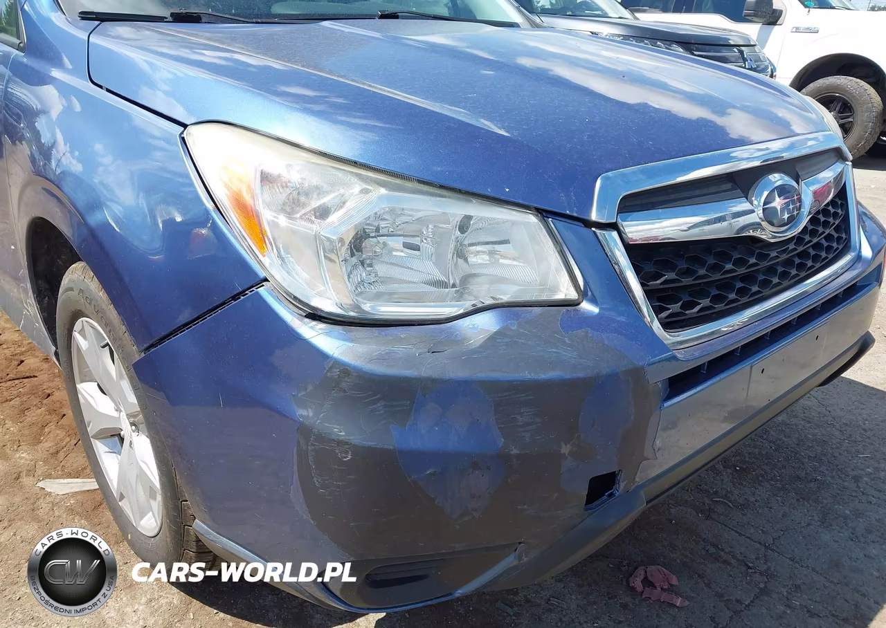 2015 Subaru Forester 2.5I Premium VIN:JF2SJADC5FH491399 - 17