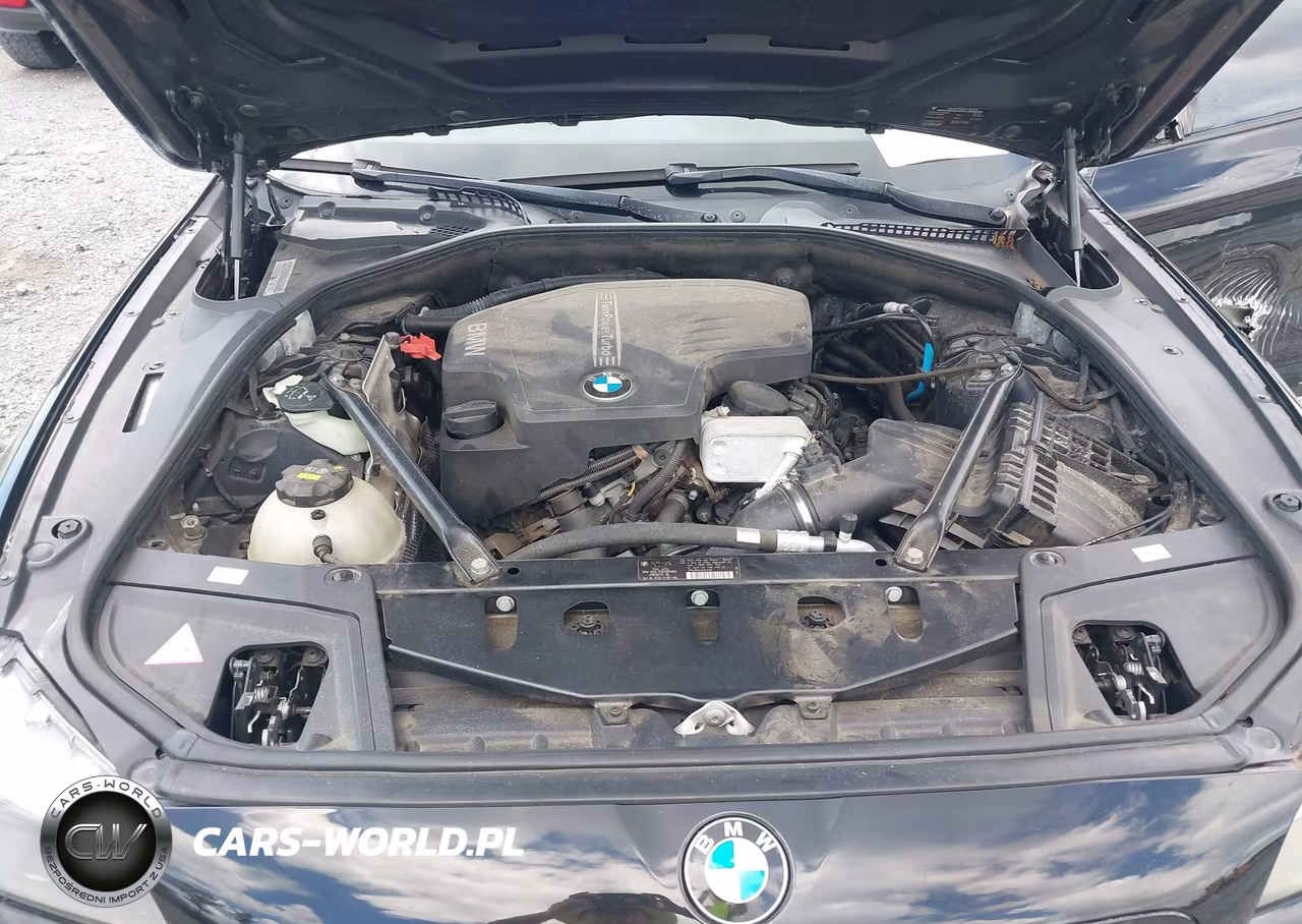 2012 BMW 528I VIN:WBAXG5C51CDW85411 - 10