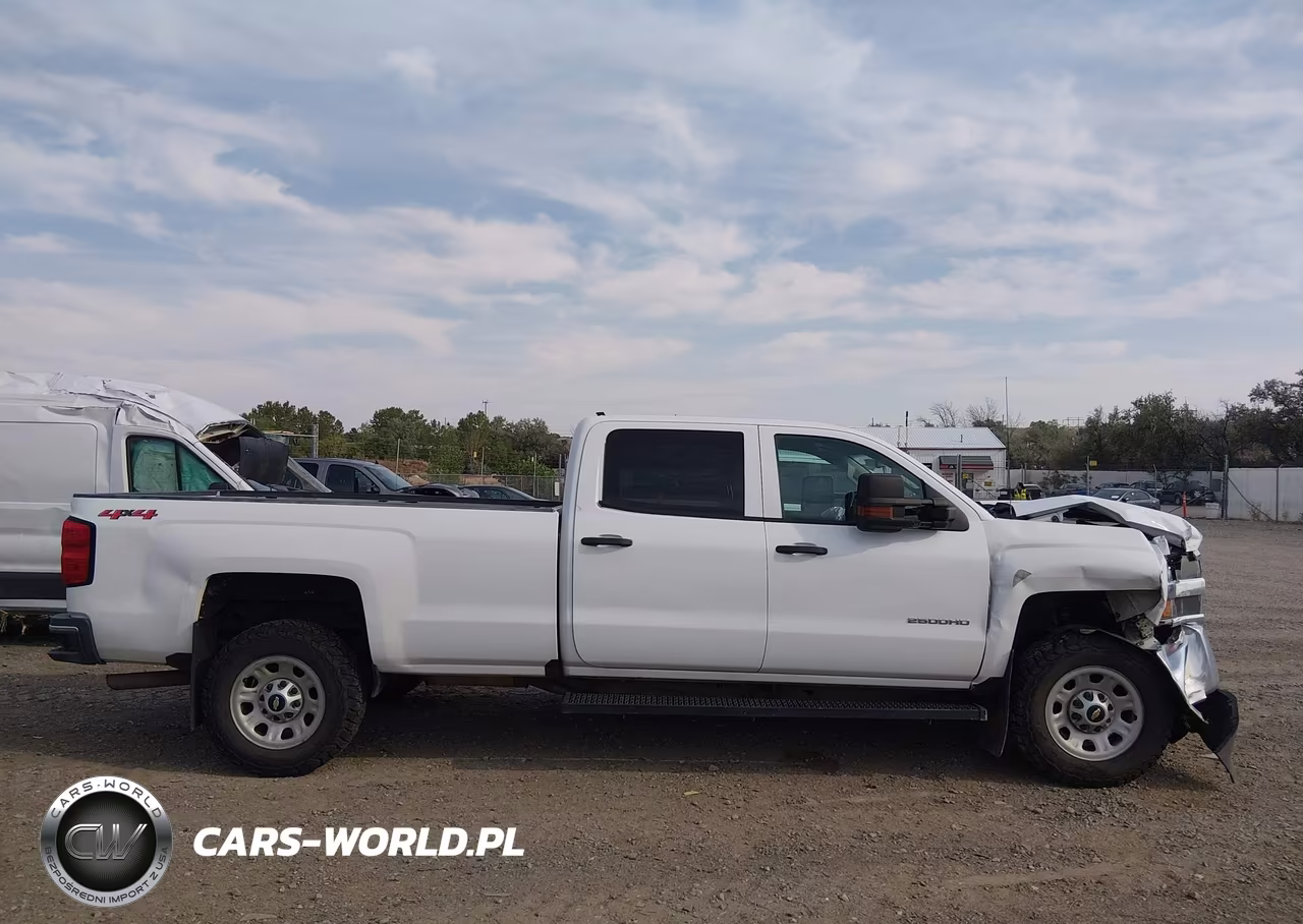 2018 Chevrolet Silverado 2500Hd Wt VIN:1GC1KUEG6JF247419 - 13