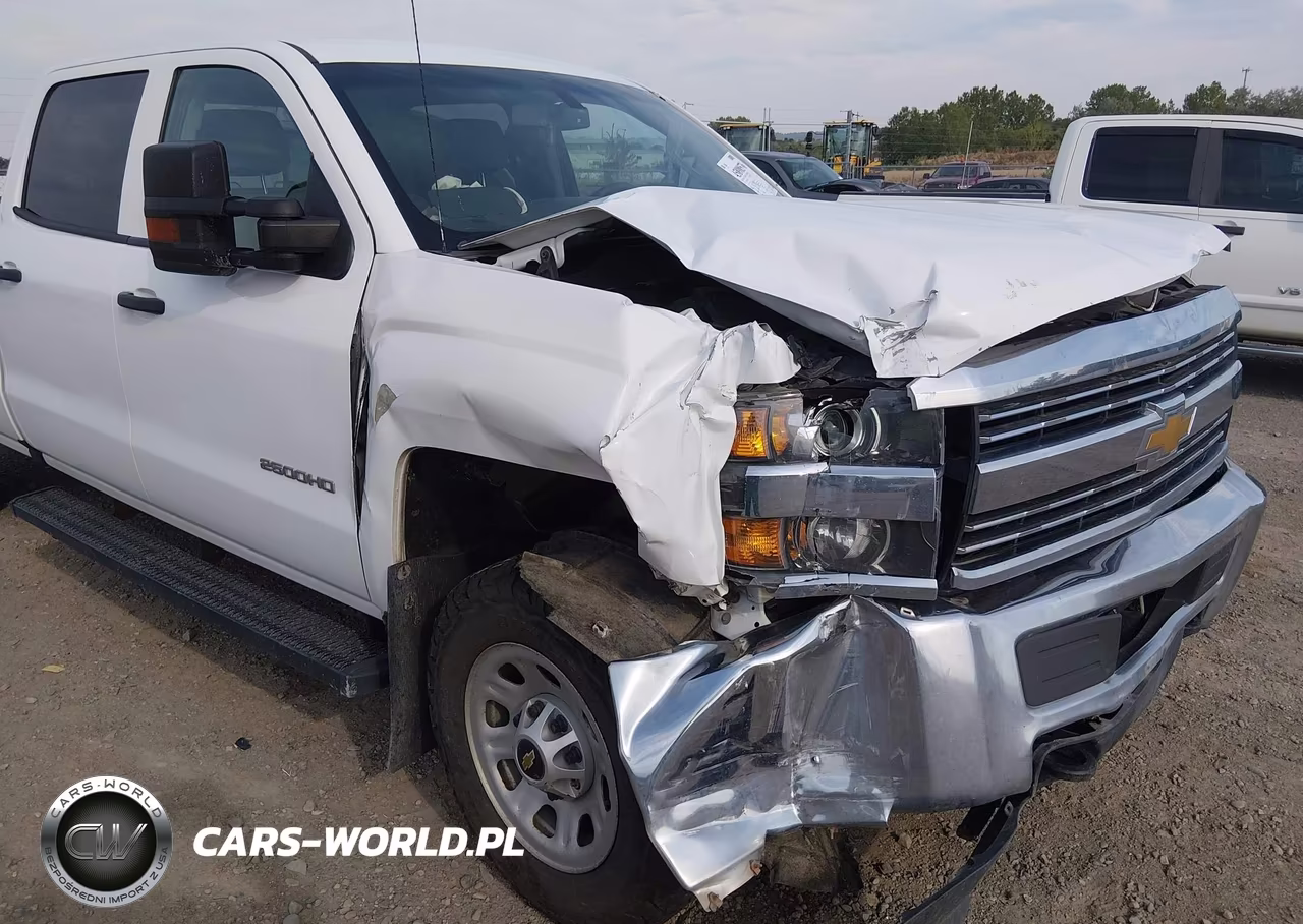 2018 Chevrolet Silverado 2500Hd Wt VIN:1GC1KUEG6JF247419 - 6
