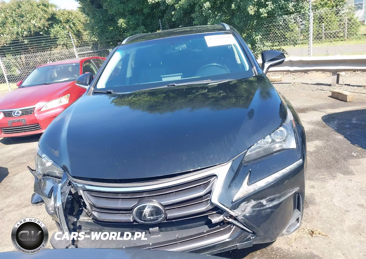 2015 Lexus Nx 200T VIN:JTJYARBZ2F2010197 - 12