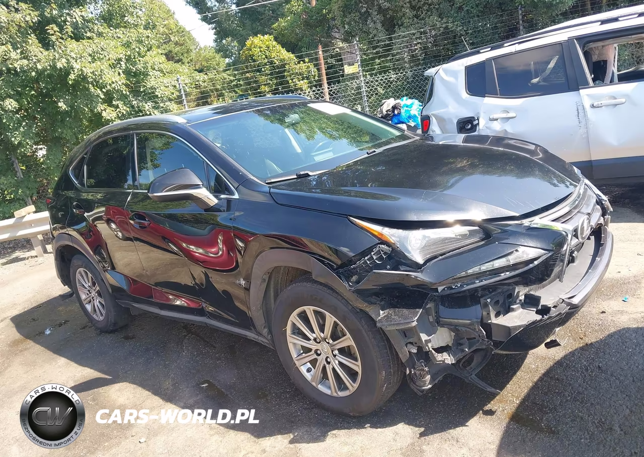 2015 Lexus Nx 200T VIN:JTJYARBZ2F2010197 - 13