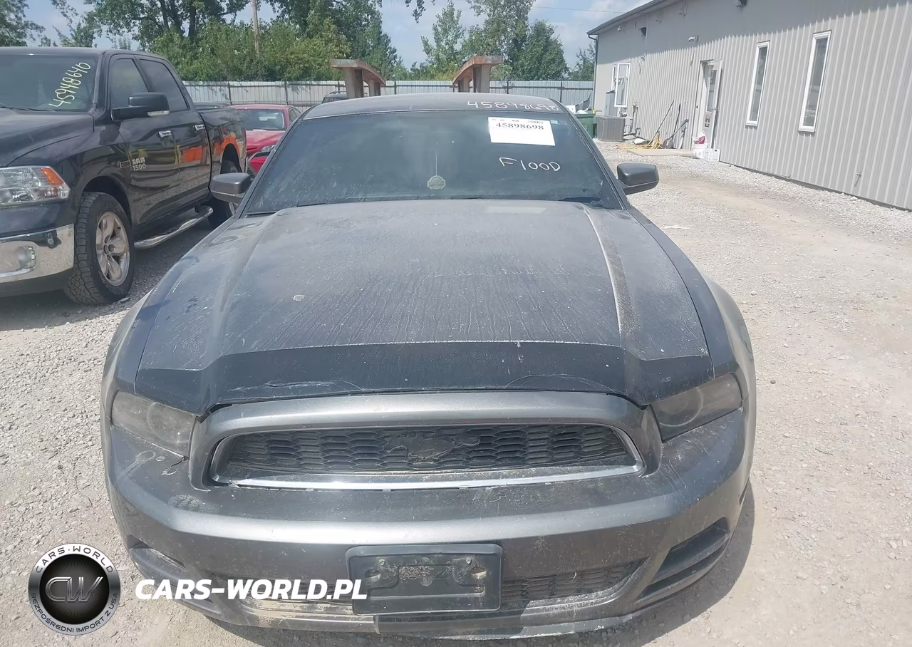 2014 Ford Mustang V6 Premium VIN:1ZVBP8AM0E5272138 - 12