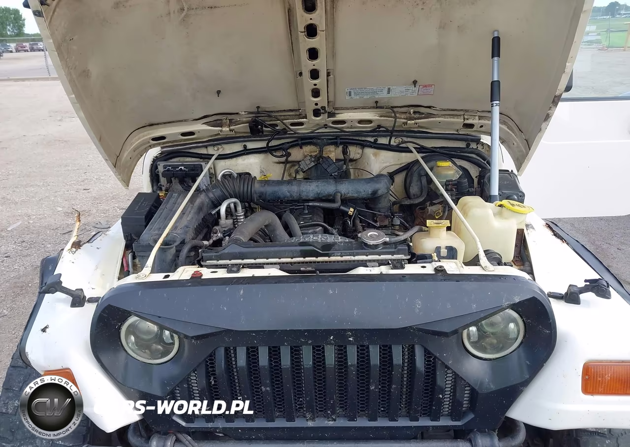 1999 Jeep Wrangler Sahara VIN:1J4FY49S1XP450900 - 10