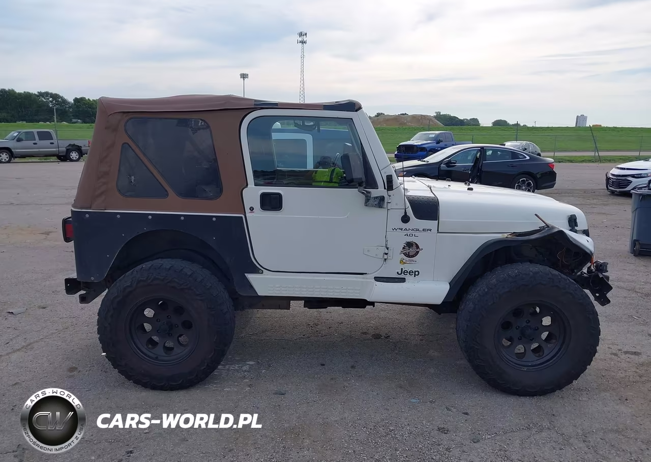 1999 Jeep Wrangler Sahara VIN:1J4FY49S1XP450900 - 13
