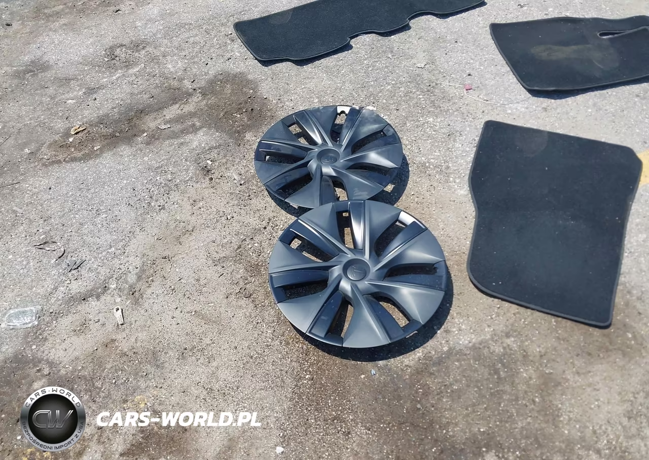 2024 Tesla Model Y Long Range Dual Motor All-Wheel Drive VIN:7SAYGDEE4RA303226 - 10