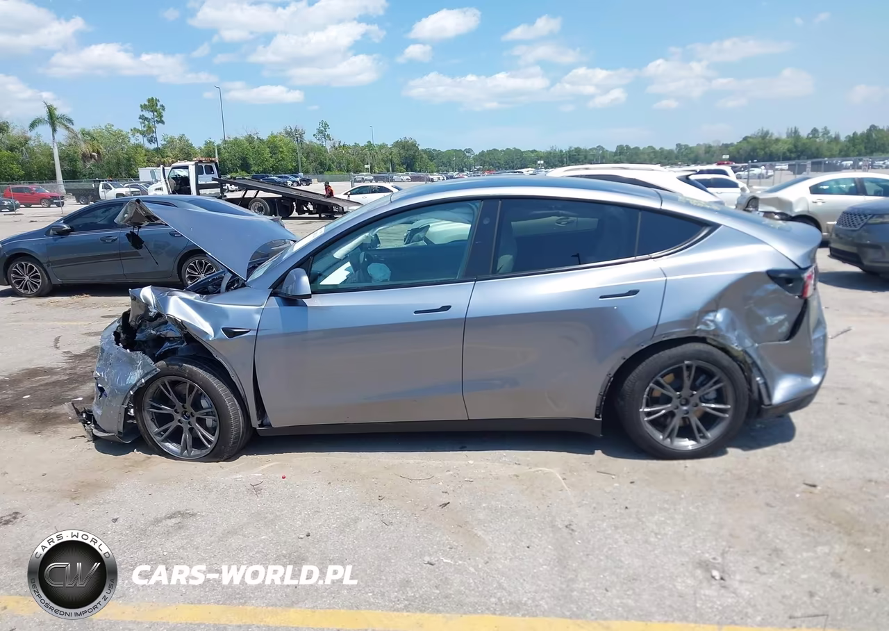 2024 Tesla Model Y Long Range Dual Motor All-Wheel Drive VIN:7SAYGDEE4RA303226 - 13