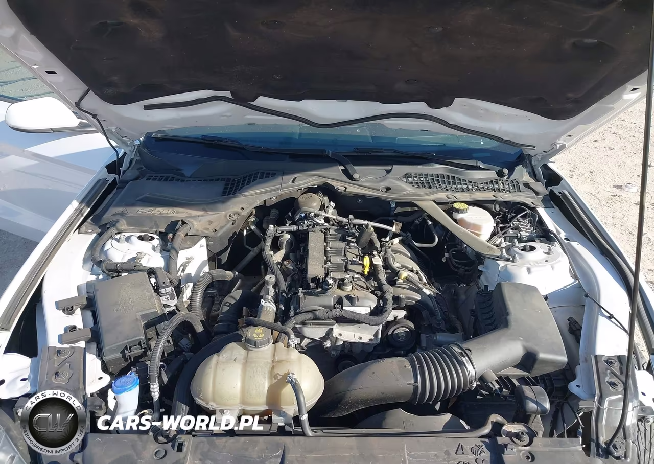 2021 Ford Mustang Ecoboost Premium VIN:1FATP8UH0M5122542 - 10