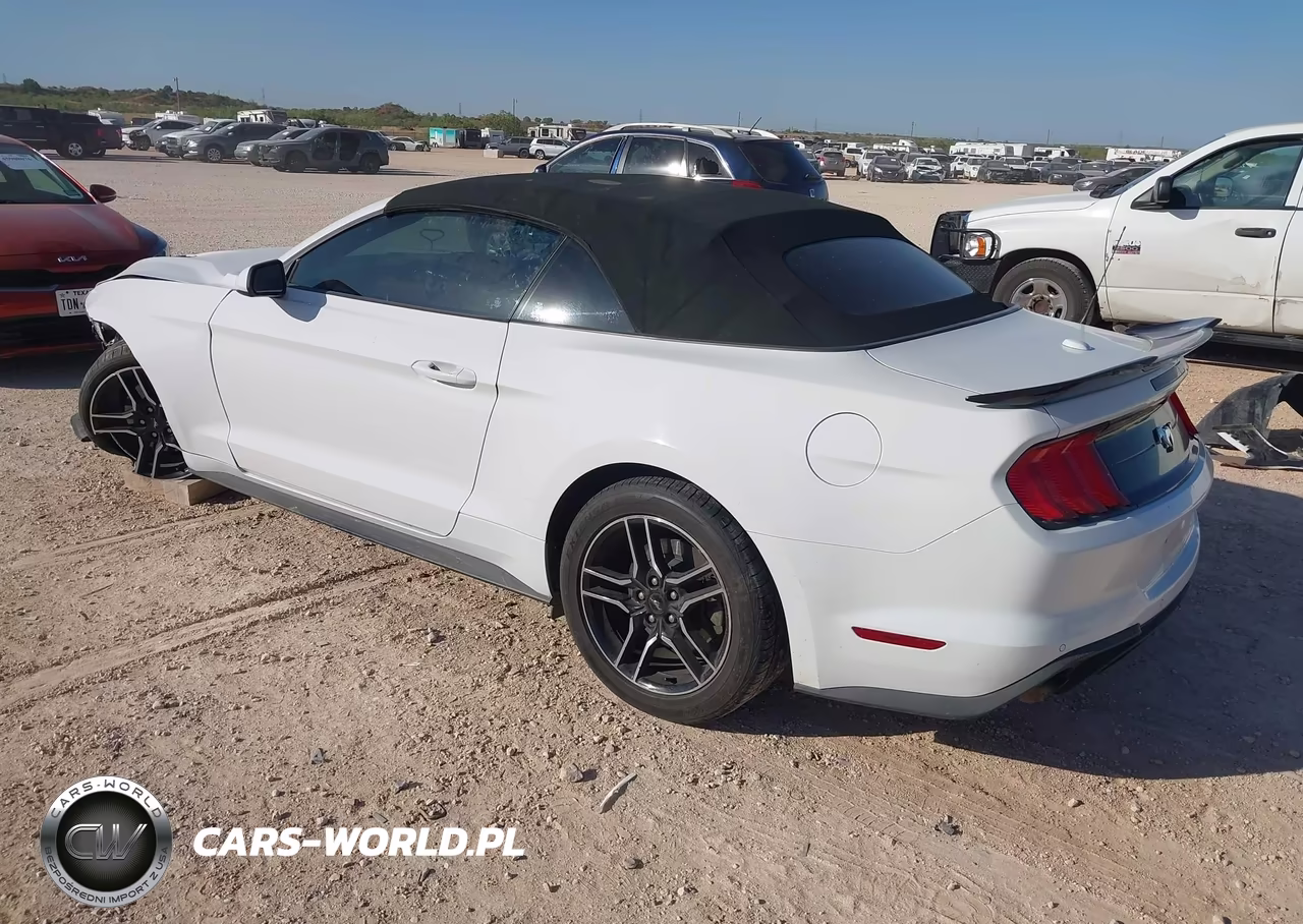 2021 Ford Mustang Ecoboost Premium VIN:1FATP8UH0M5122542 - 3