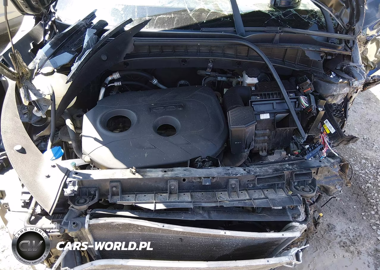 2017 Hyundai Tucson Se Plus VIN:KM8J33A44HU546718 - 10