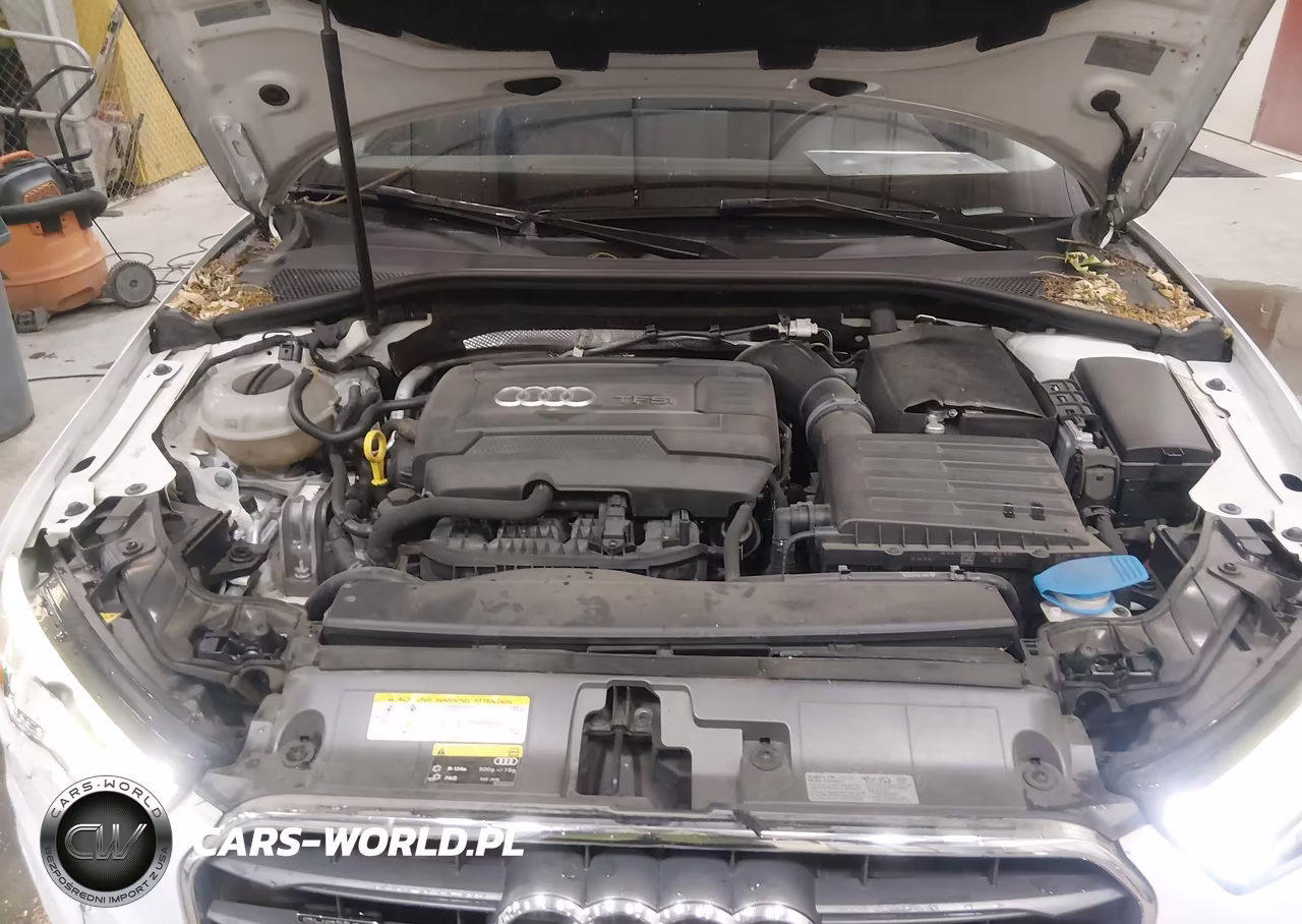 2015 Audi A3 2.0T Premium VIN:WAUEFGFF2F1133934 - 10