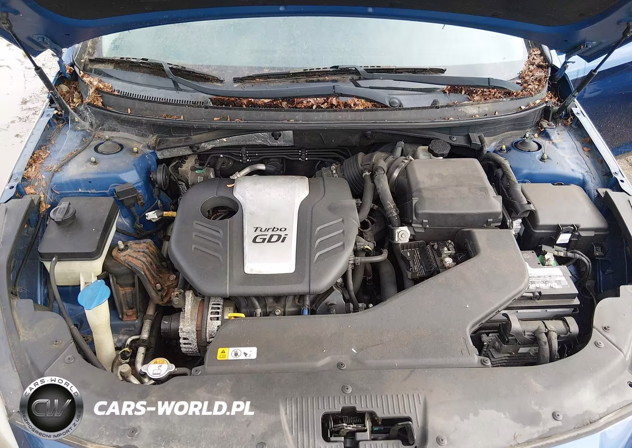 2015 Hyundai Sonata Eco VIN:5NPE24AA5FH153709 - 10