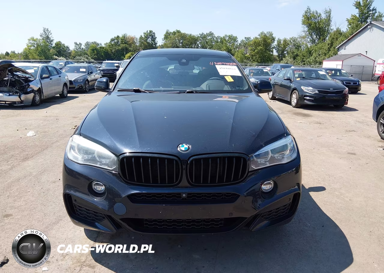 2018 BMW X6 xDrive35I VIN:5UXKU2C59J0Z61308 - 12
