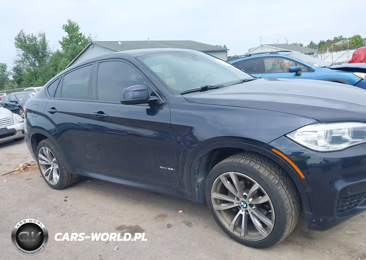 2018 BMW X6 xDrive35I VIN:5UXKU2C59J0Z61308 - 13