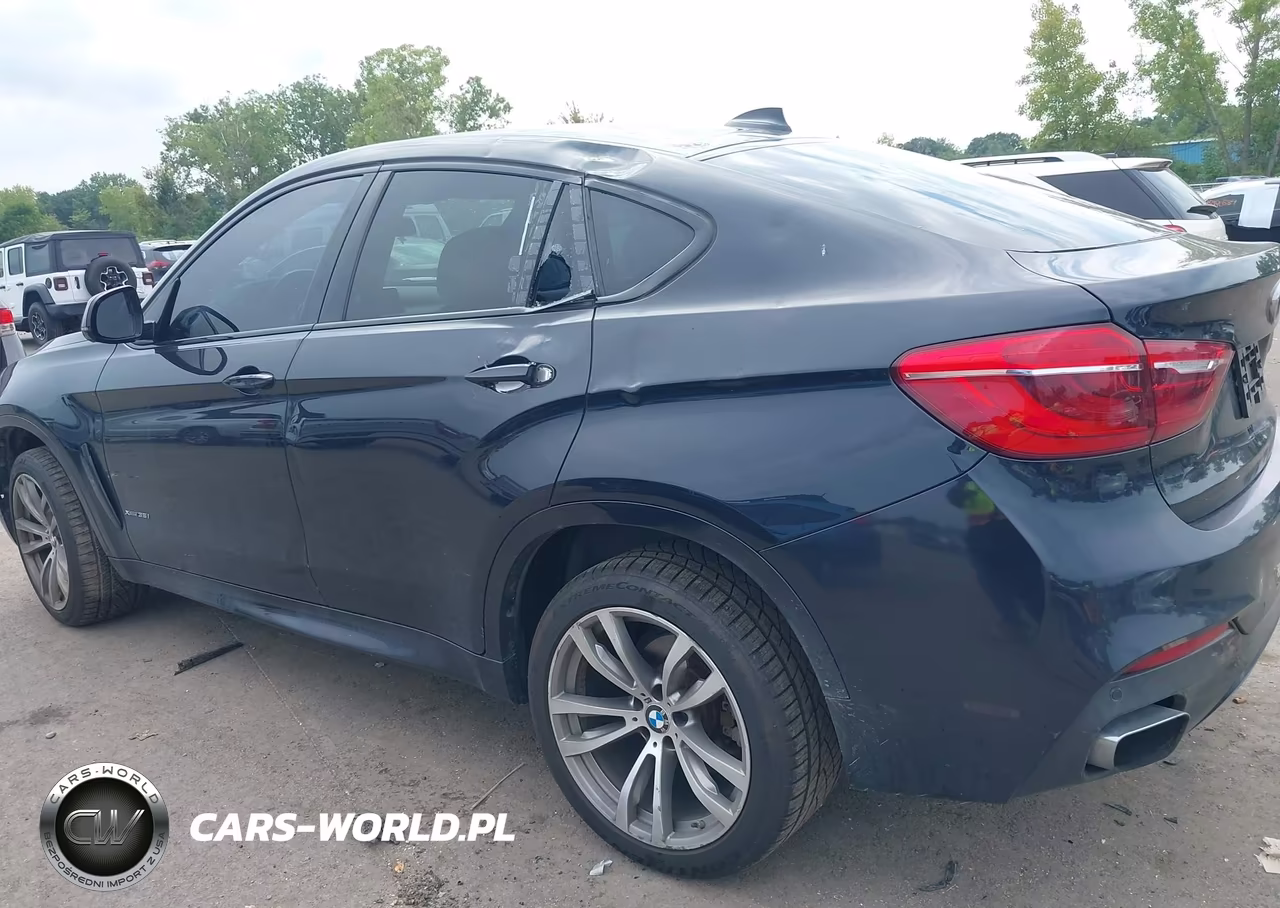2018 BMW X6 xDrive35I VIN:5UXKU2C59J0Z61308 - 14