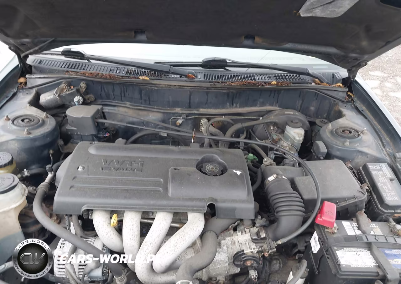 2000 Toyota Corolla Ce VIN:2T1BR12E6YC272213 - 10