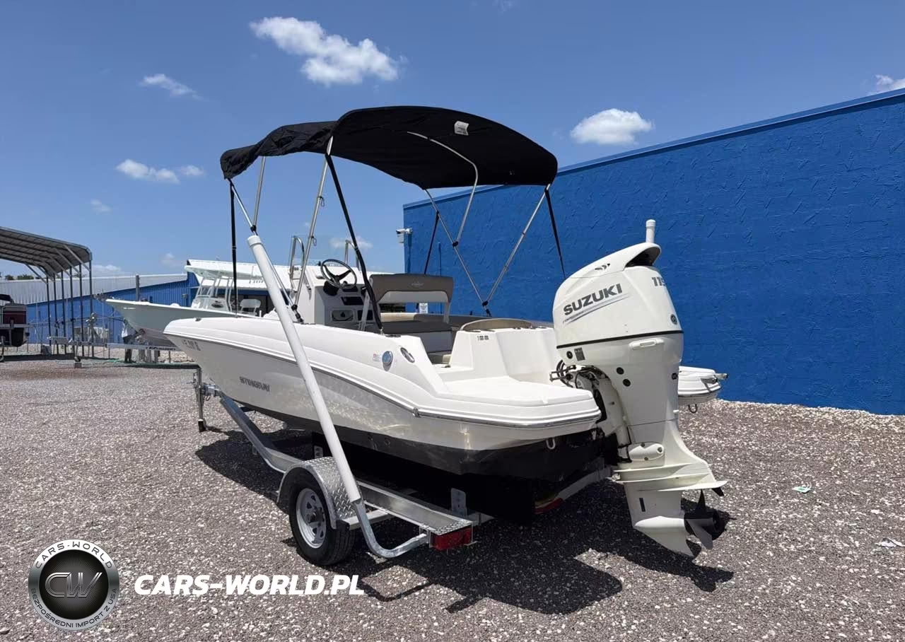 2019 Stingray Other VIN:PNYUSHJ8E919 - 4