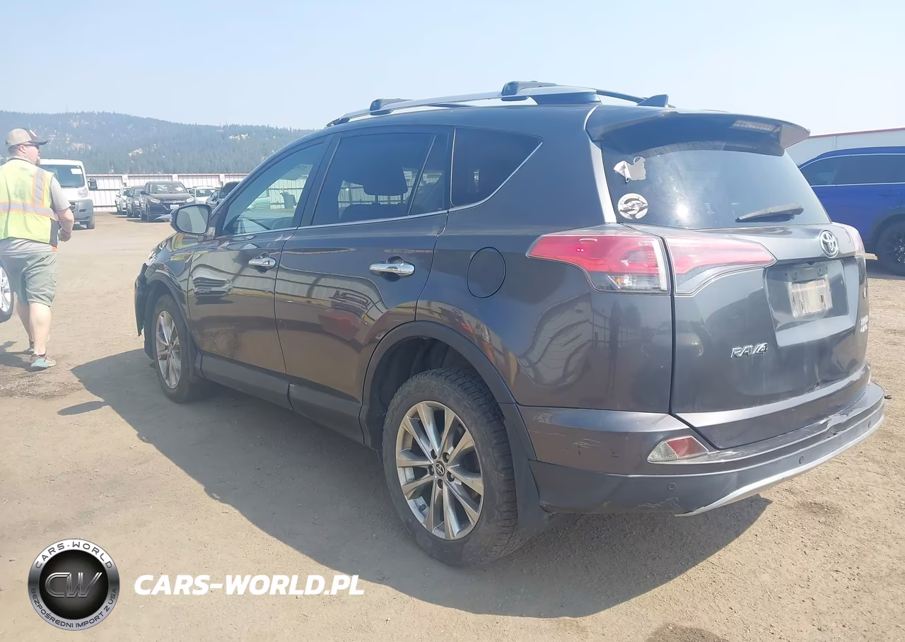2016 Toyota Rav4 Limited VIN:JTMDFREV3GJ087549 - 3