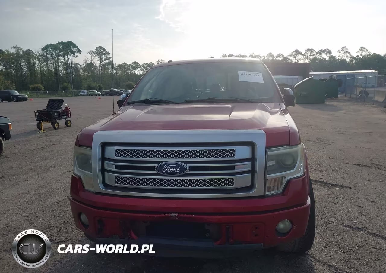 2013 Ford F-150 Platinum VIN:1FTFW1CF7DFA22630 - 12