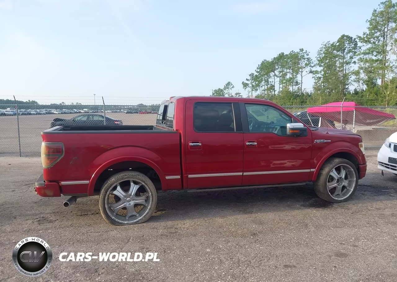 2013 Ford F-150 Platinum VIN:1FTFW1CF7DFA22630 - 13