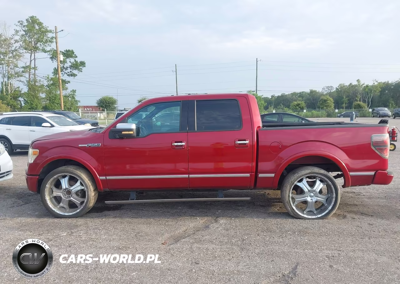 2013 Ford F-150 Platinum VIN:1FTFW1CF7DFA22630 - 14