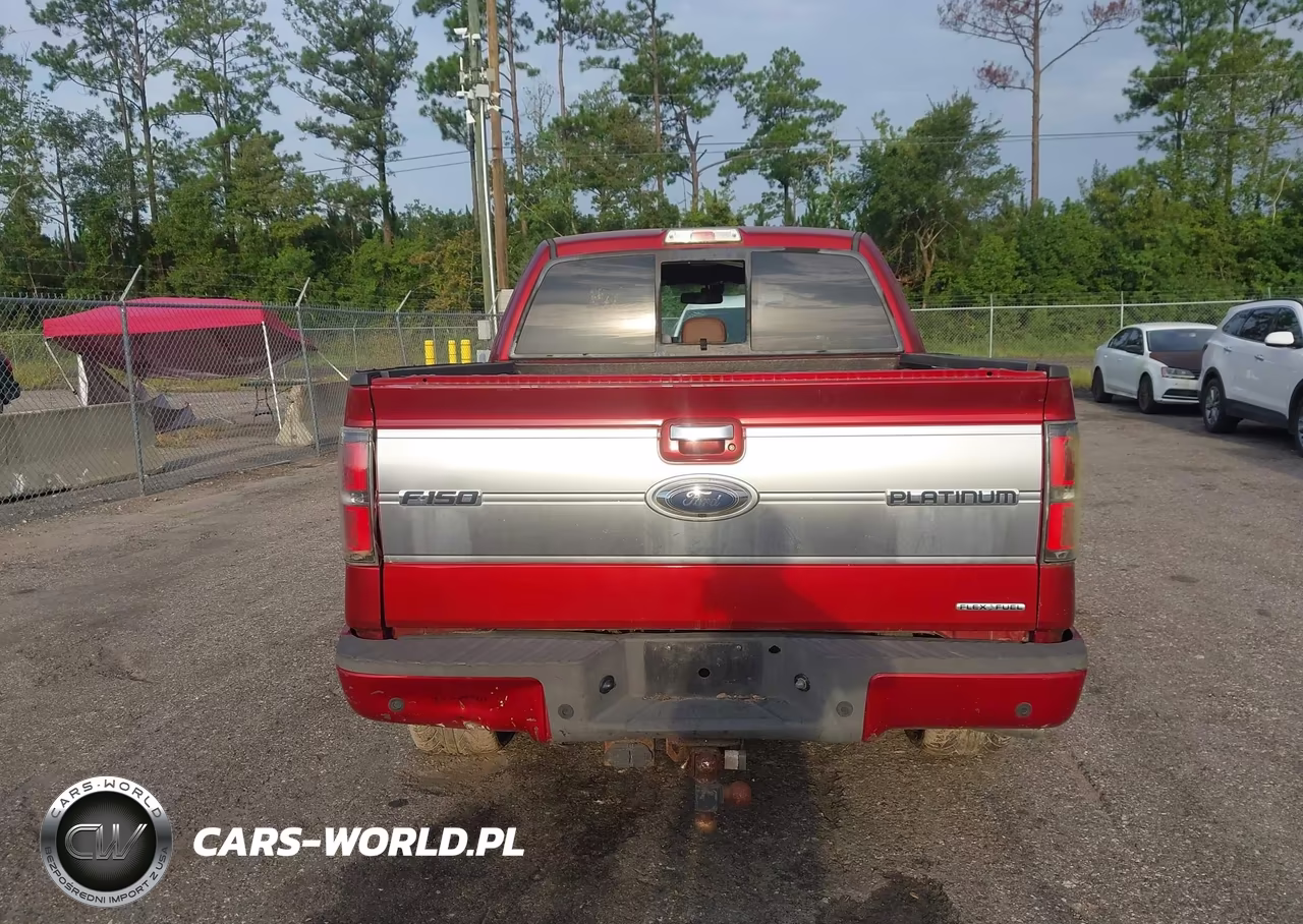 2013 Ford F-150 Platinum VIN:1FTFW1CF7DFA22630 - 16