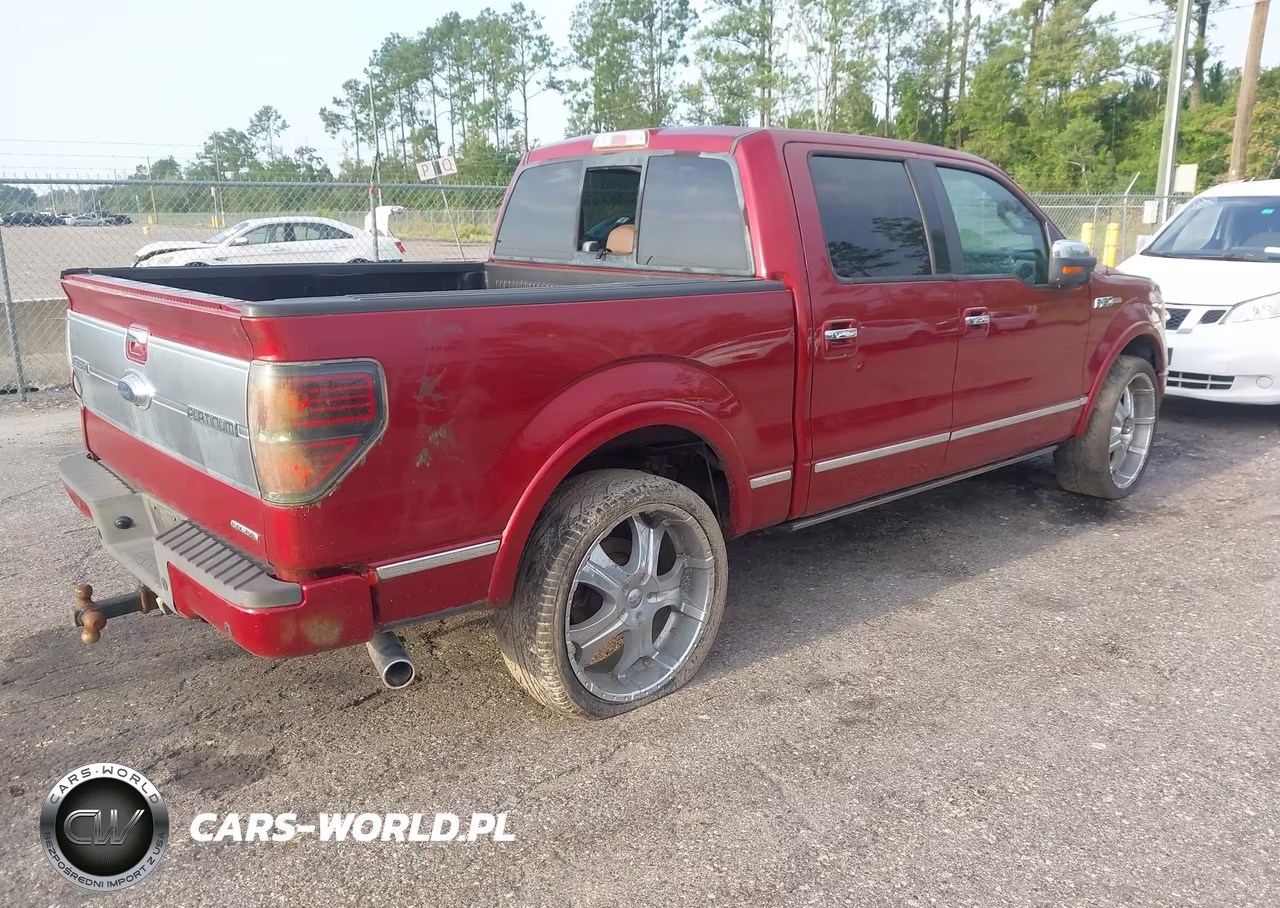 2013 Ford F-150 Platinum VIN:1FTFW1CF7DFA22630 - 4