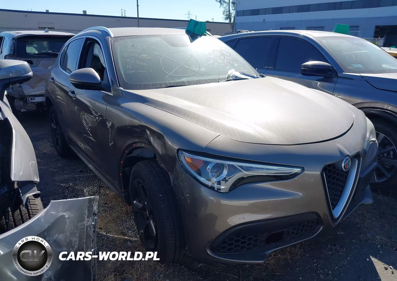 2019 Alfa Romeo Stelvio Rwd VIN:ZASPAJAN5K7C37080 - 1