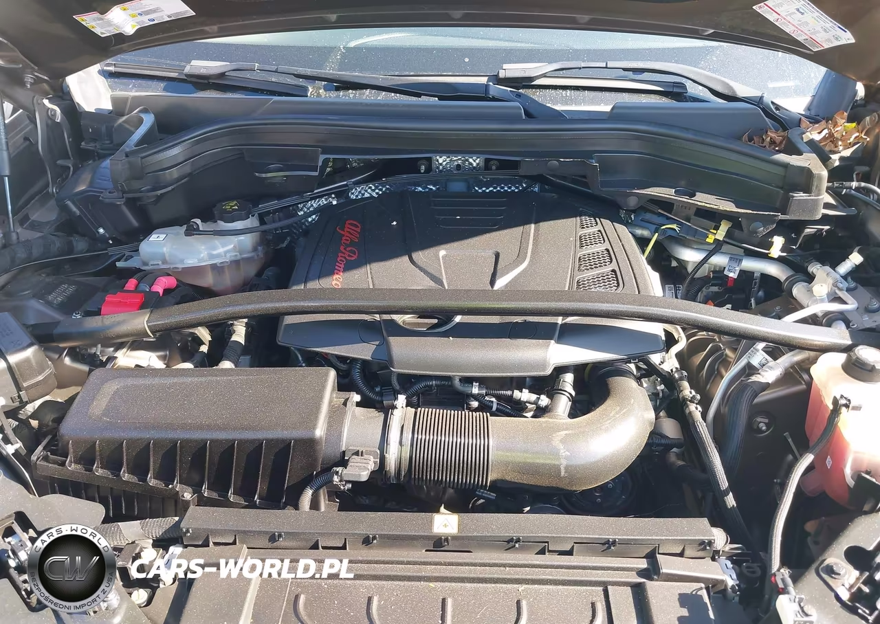 2019 Alfa Romeo Stelvio Rwd VIN:ZASPAJAN5K7C37080 - 10