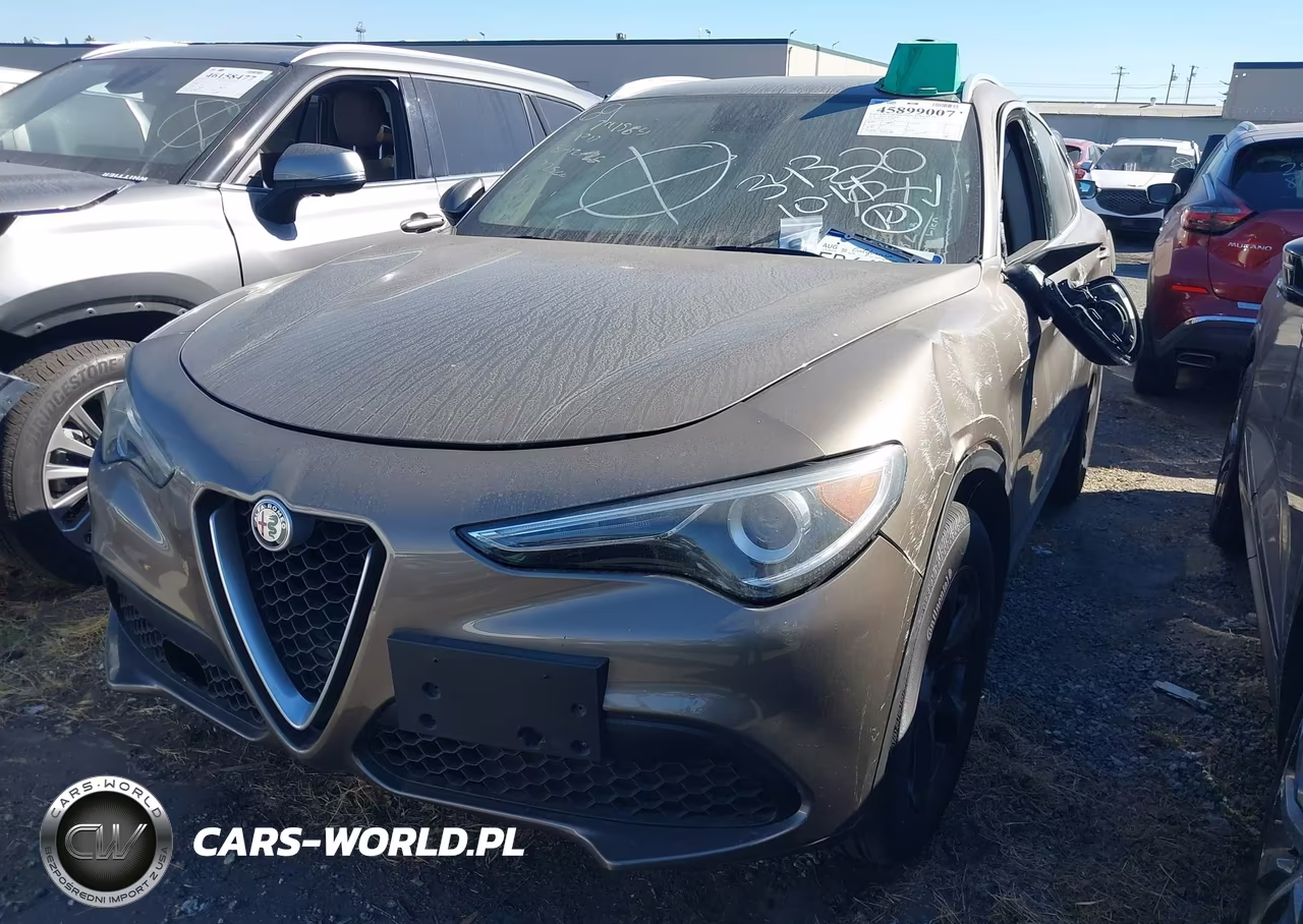 2019 Alfa Romeo Stelvio Rwd VIN:ZASPAJAN5K7C37080 - 12