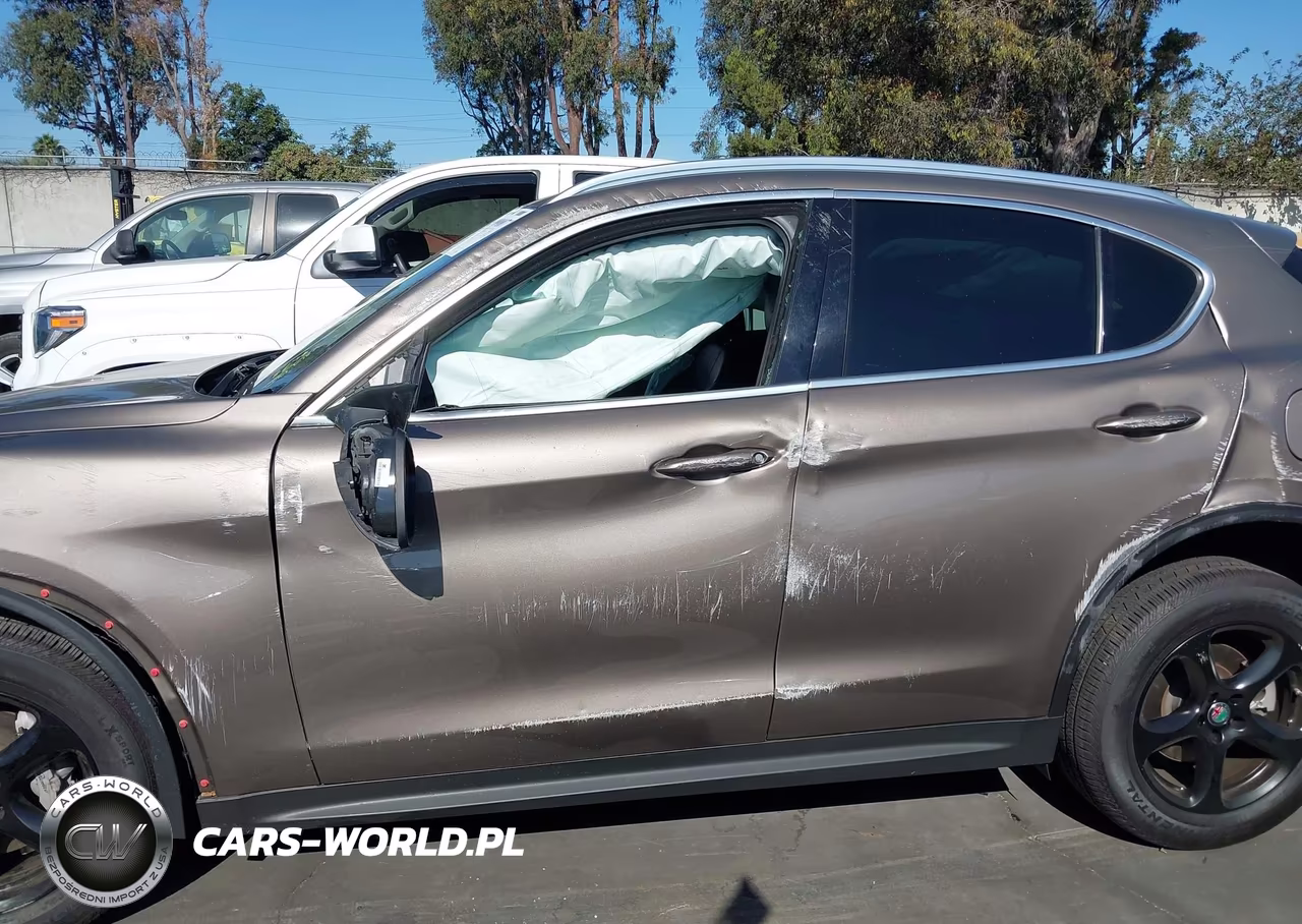2019 Alfa Romeo Stelvio Rwd VIN:ZASPAJAN5K7C37080 - 15