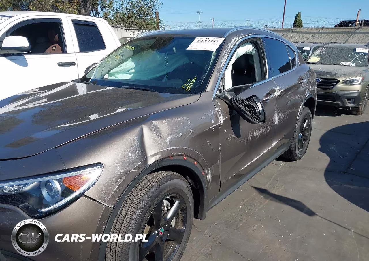 2019 Alfa Romeo Stelvio Rwd VIN:ZASPAJAN5K7C37080 - 17