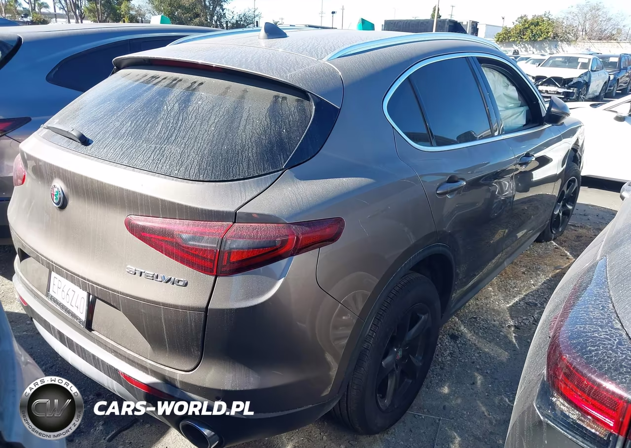 2019 Alfa Romeo Stelvio Rwd VIN:ZASPAJAN5K7C37080 - 4