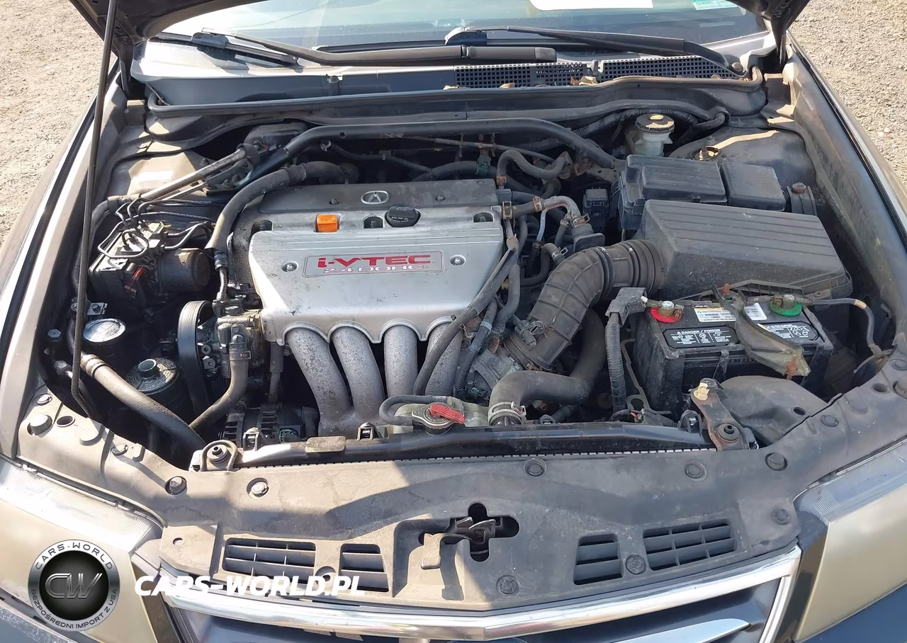 2008 Acura Tsx VIN:JH4CL96978C013254 - 10