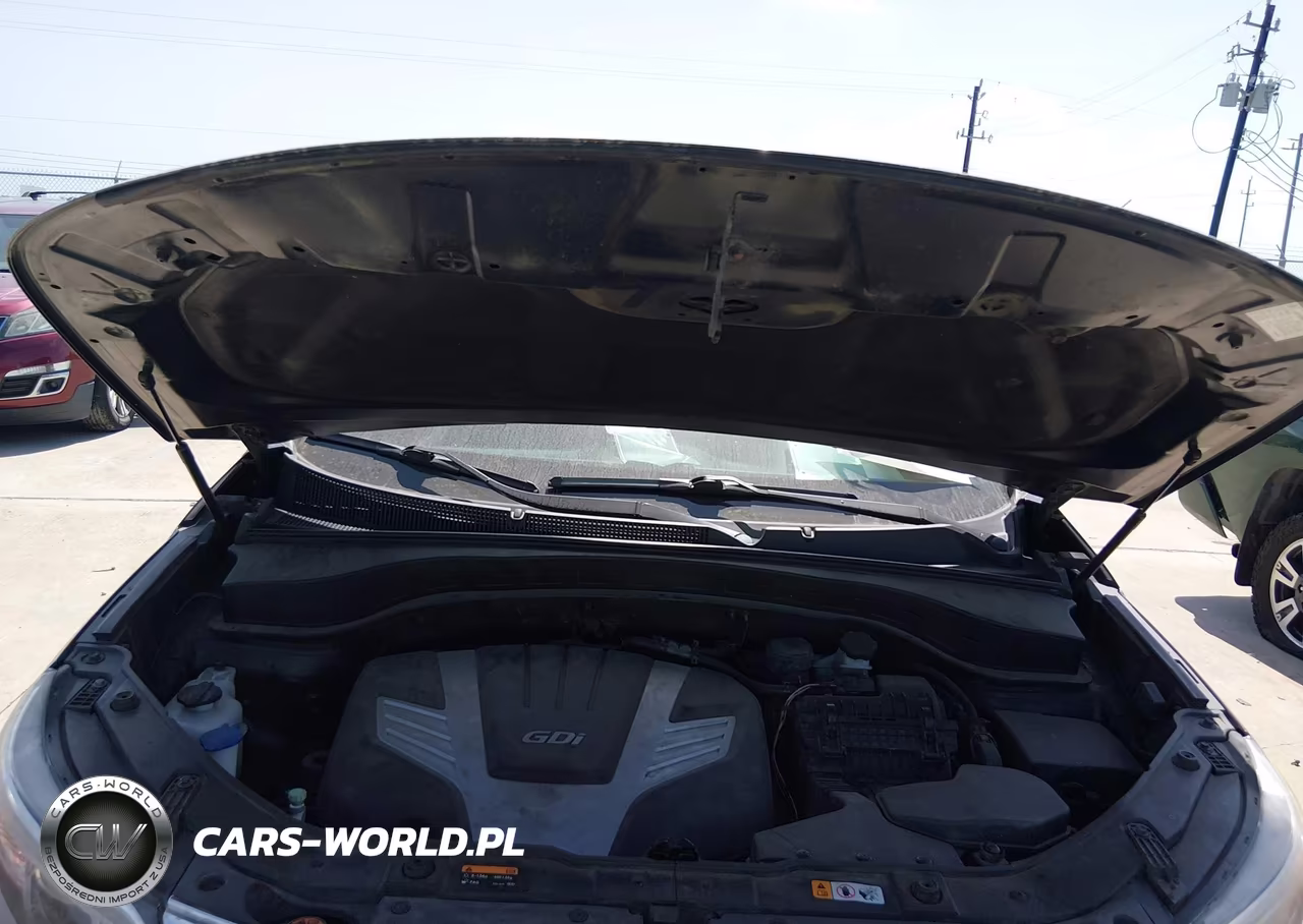 2014 Kia Sorento Ex V6 VIN:5XYKU4A71EG492846 - 10