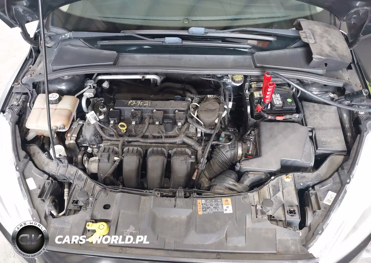 2015 Ford Focus Se VIN:1FADP3K22FL291322 - 10