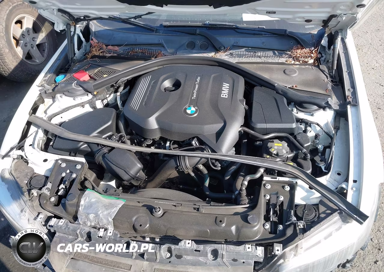 2017 BMW 230I VIN:WBA2F9C37HV664681 - 10