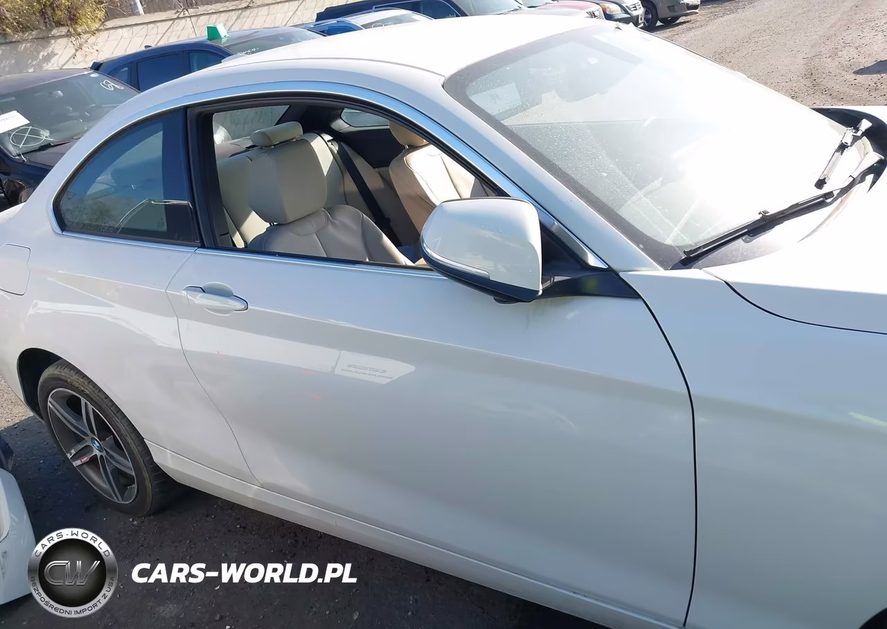 2017 BMW 230I VIN:WBA2F9C37HV664681 - 14