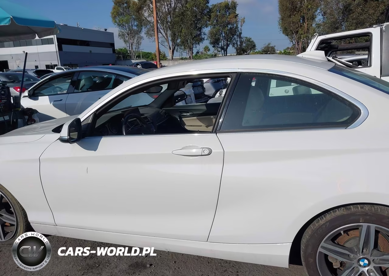 2017 BMW 230I VIN:WBA2F9C37HV664681 - 15