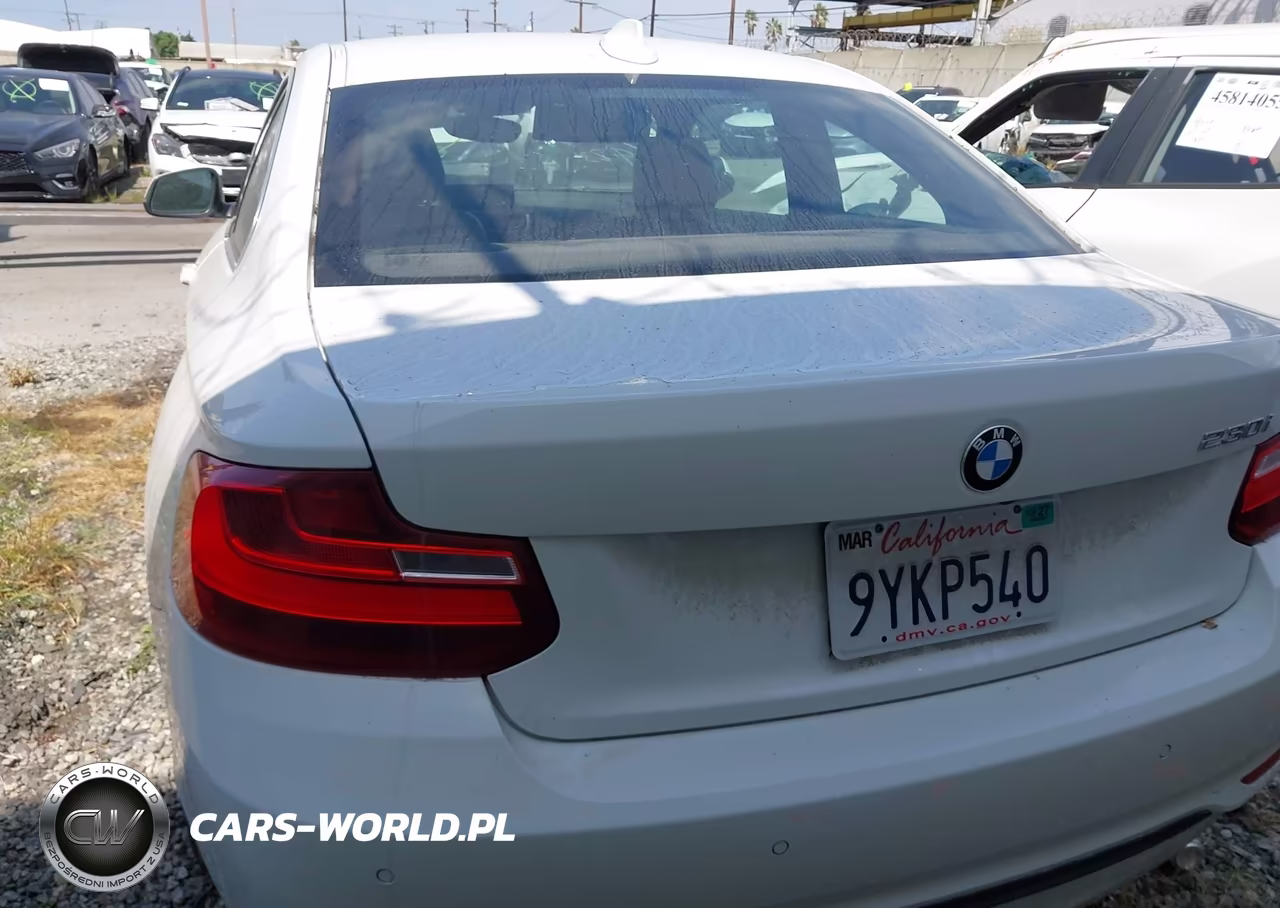 2017 BMW 230I VIN:WBA2F9C37HV664681 - 17