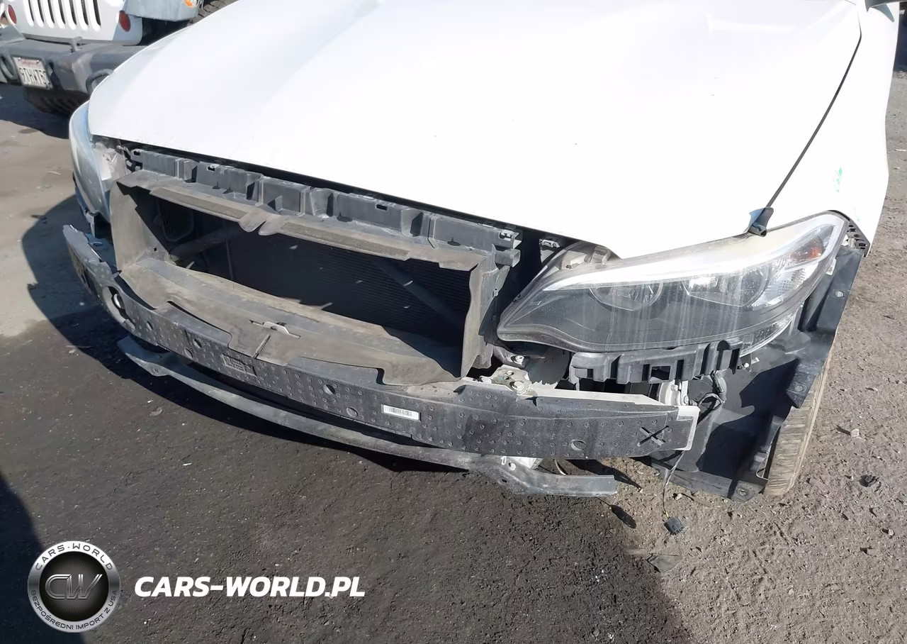 2017 BMW 230I VIN:WBA2F9C37HV664681 - 6