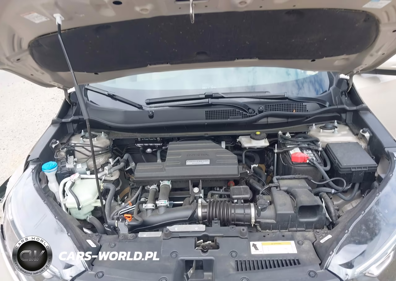 2017 Honda Cr-V Ex-L-Ex-L Navi VIN:5J6RW2H84HL064462 - 10